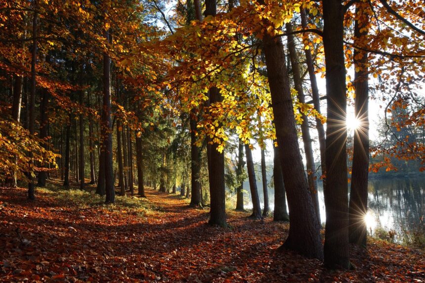 15 Best Countries to Visit for an Unforgettable Travel Experience