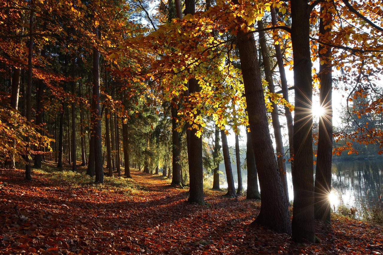 15 Best Countries to Visit for an Unforgettable Travel Experience