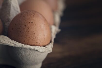 Turkey Eggs Nutrition, Benefits, Taste & Why They're So Rare